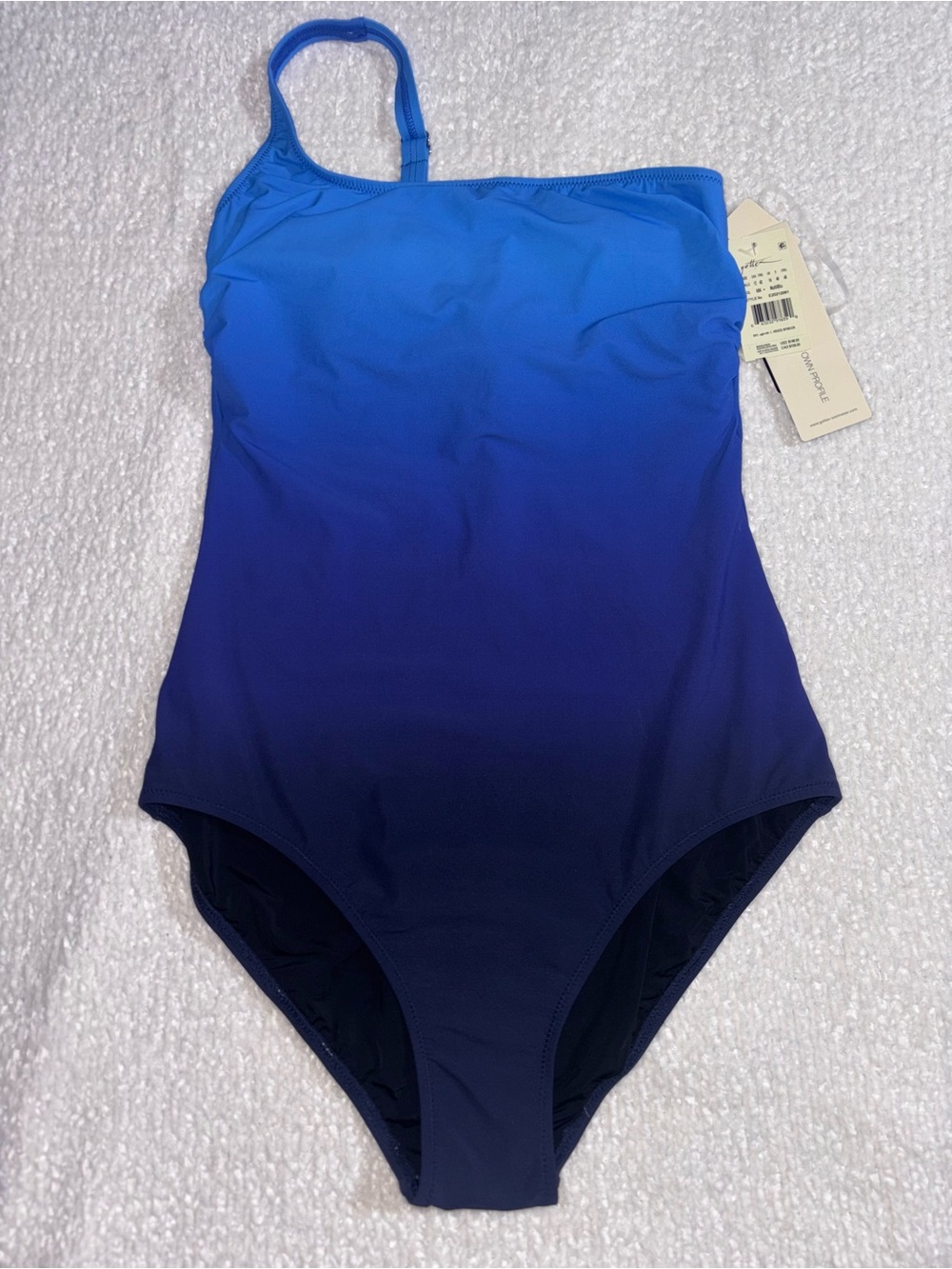 Gottex Blue Ombre One-Piece Swimsuit